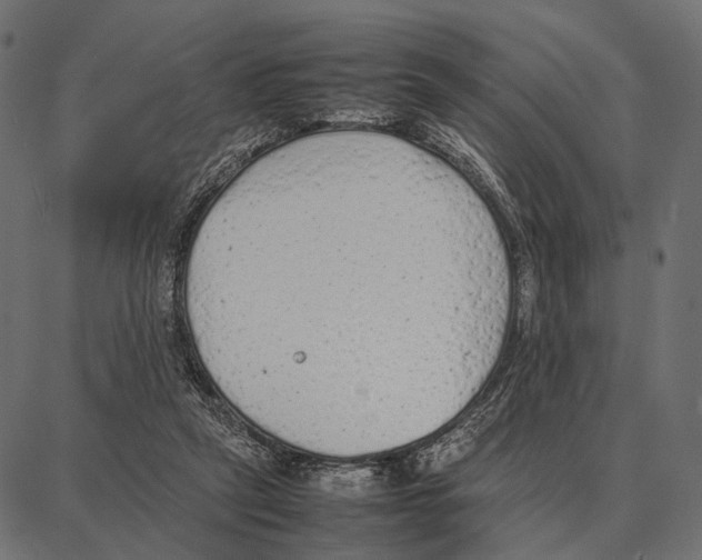 X0000087320257200705181018