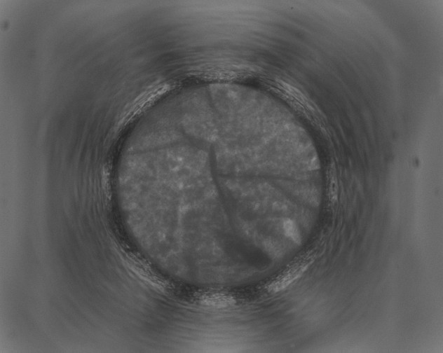 X0000087320258200705181018