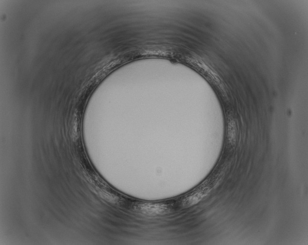 X0000087320261200705181018