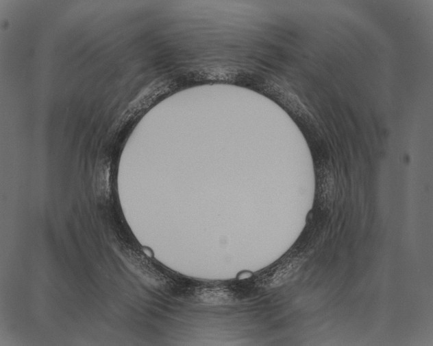 X0000087320262200705181018