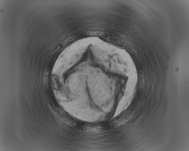 X0000087320263200705181018