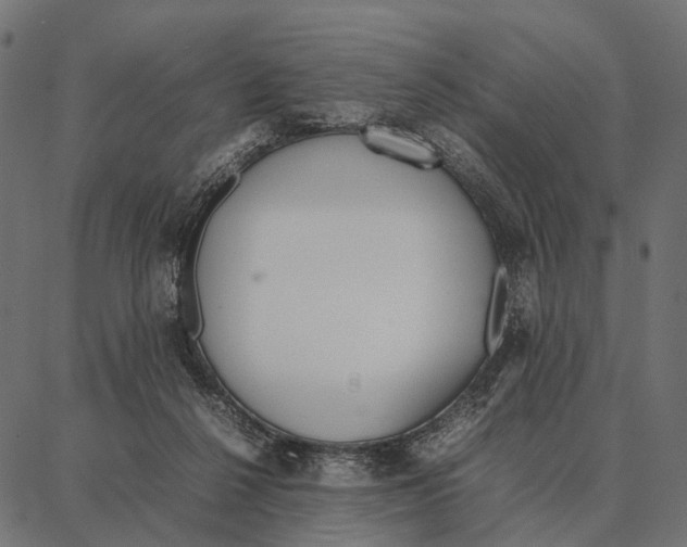 X0000087320264200705181018