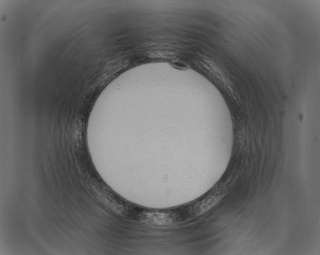 X0000087320265200705181018