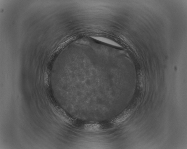 X0000087320266200705181018