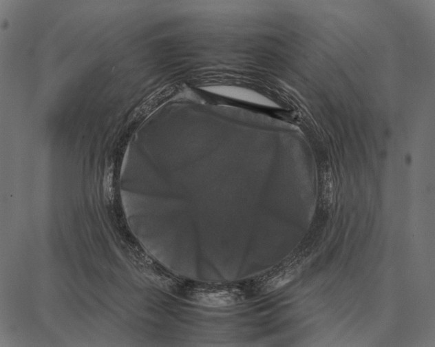 X0000087320267200705181018