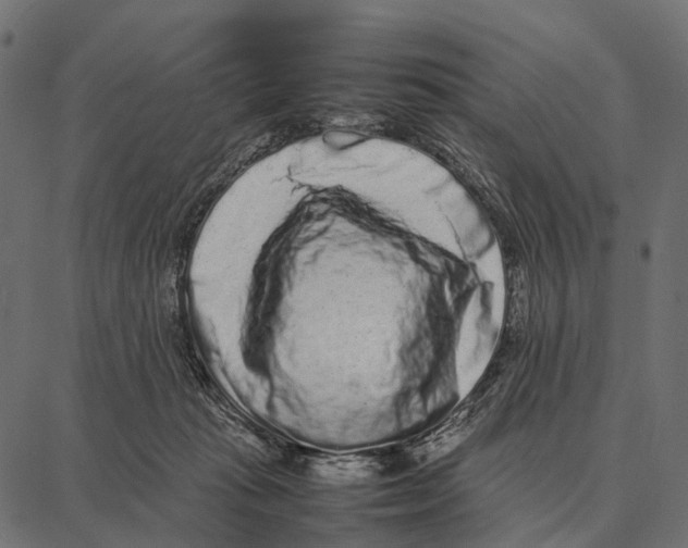 X0000087320269200705181018