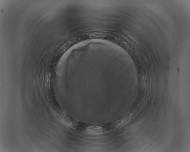 X0000087320271200705181018