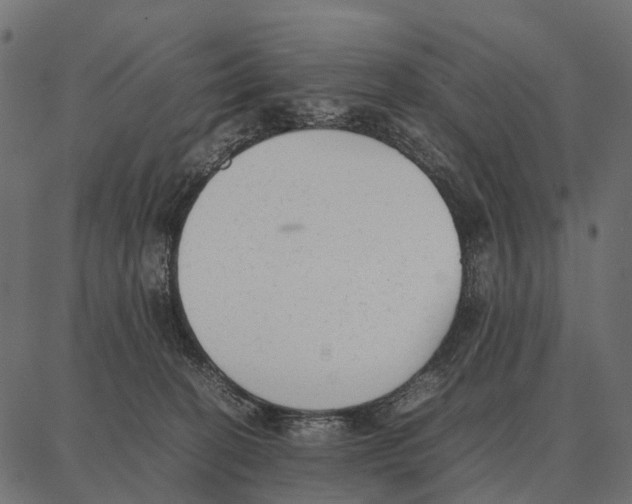 X0000087320274200705181018