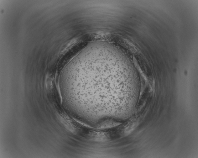 X0000087320276200705181018