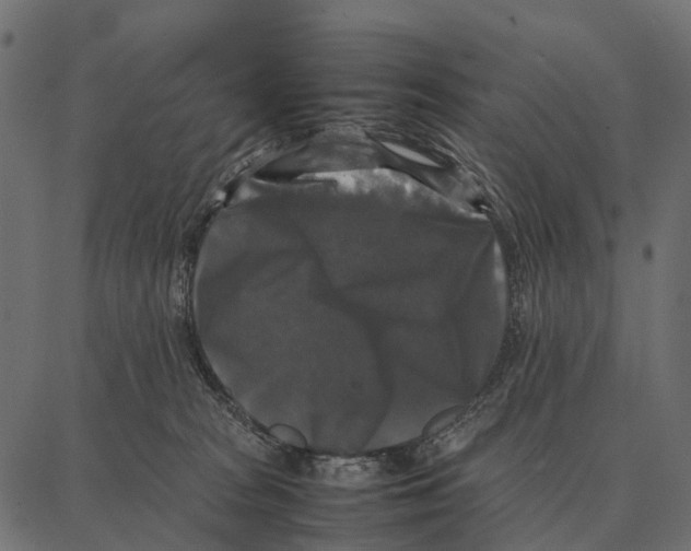 X0000087320277200705181018