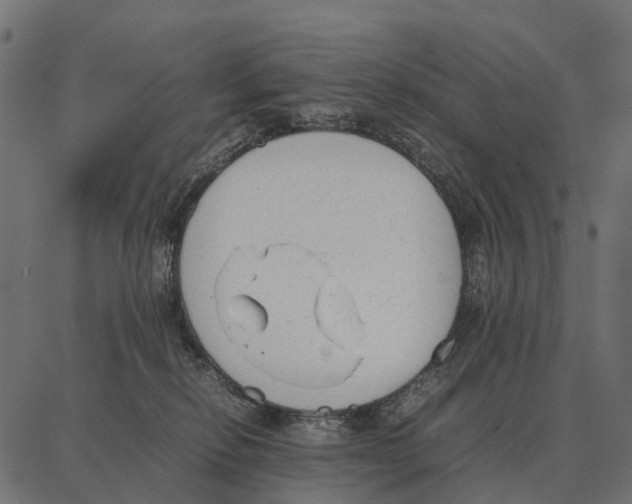 X0000087320278200705181018