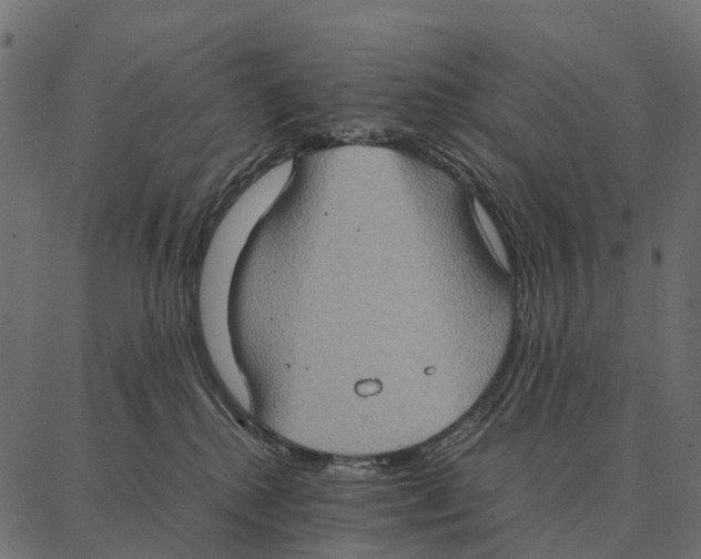 X0000087320280200705181019