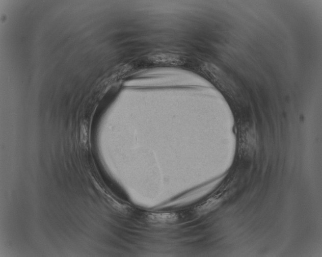 X0000087320281200705181019