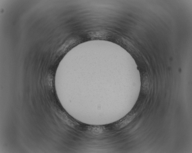 X0000087320282200705181019