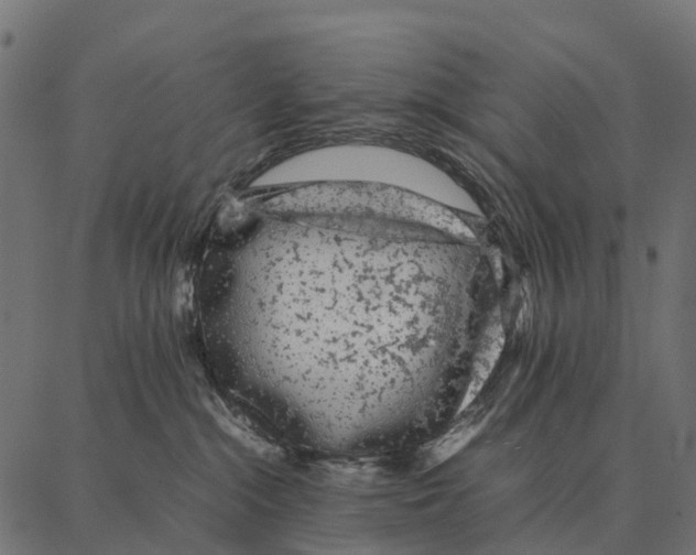 X0000087320284200705181019