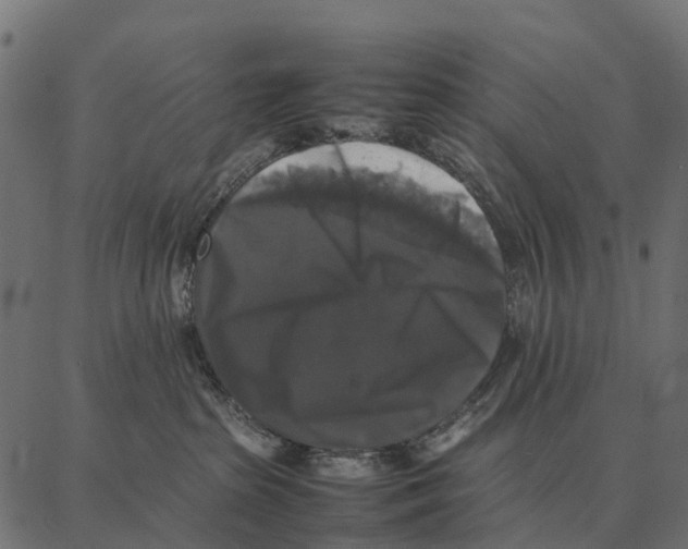 X0000087320285200705181019