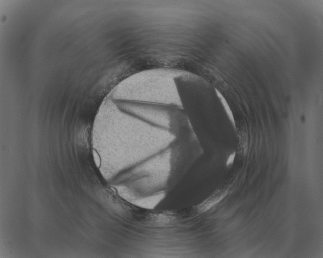 X0000087320286200705181019