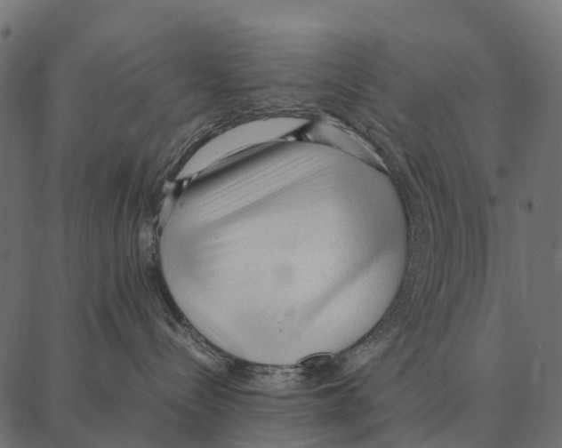 X0000087320288200705181019