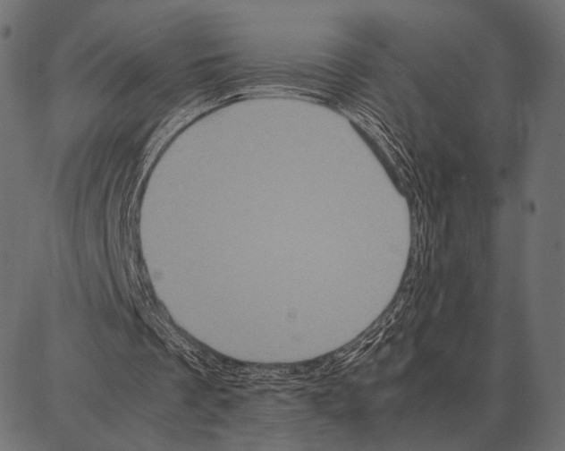 X0000087320289200705181018