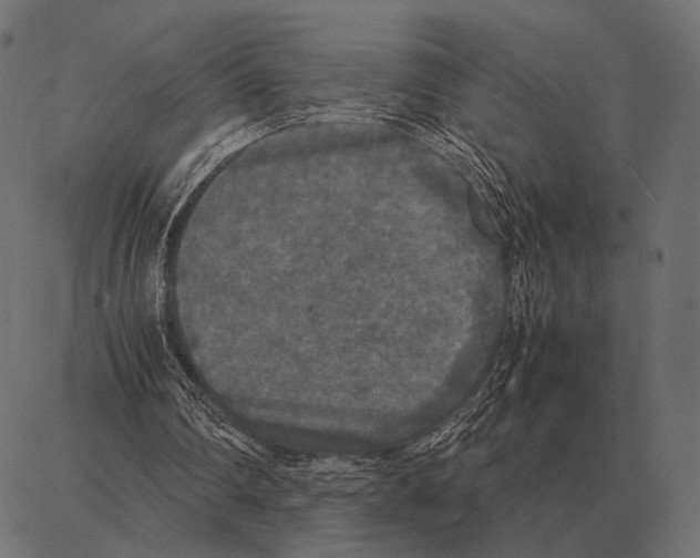 X0000087320290200705181018