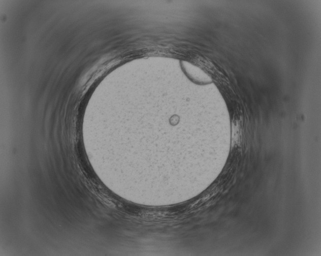 X0000087320291200705181018