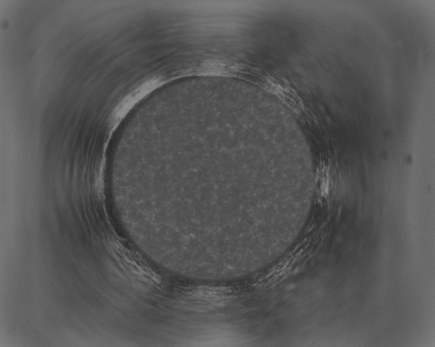 X0000087320292200705181018