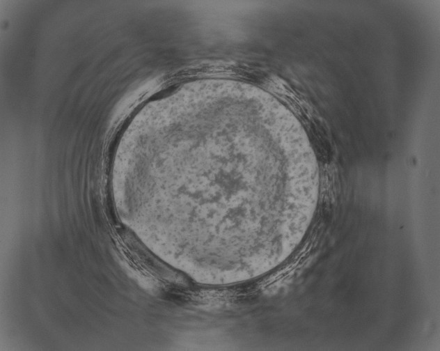 X0000087320293200705181018