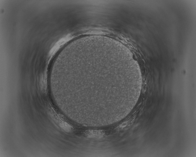 X0000087320296200705181018