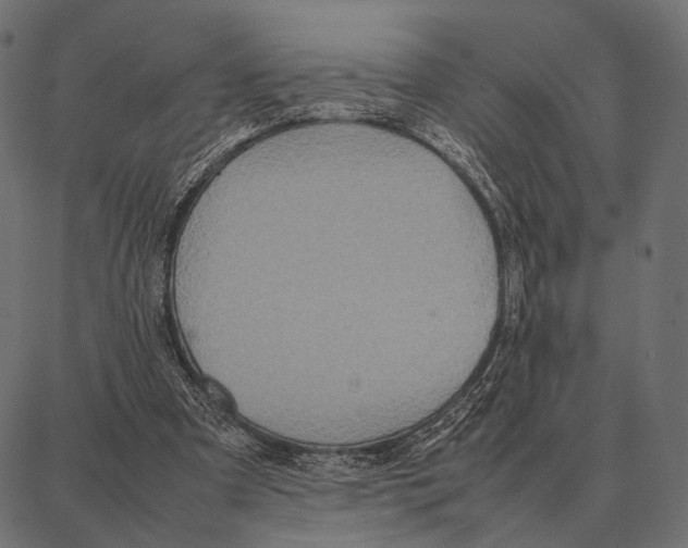 X0000087320297200705181018