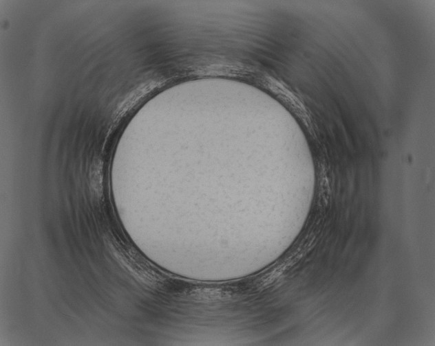 X0000087320298200705181018