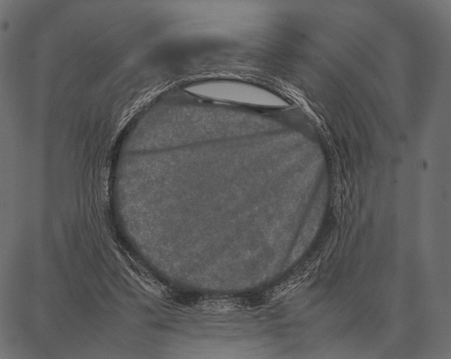 X0000087320299200705181018