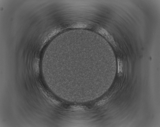 X0000087320300200705181018