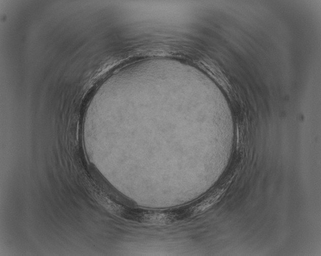 X0000087320301200705181018