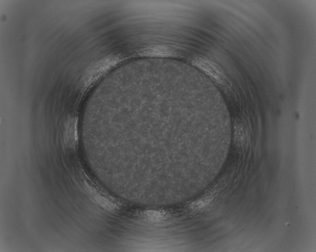 X0000087320302200705181018