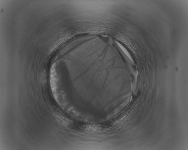 X0000087320303200705181018