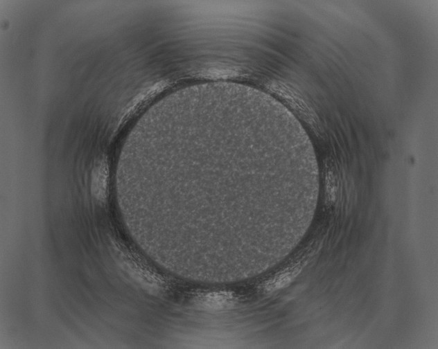 X0000087320304200705181018