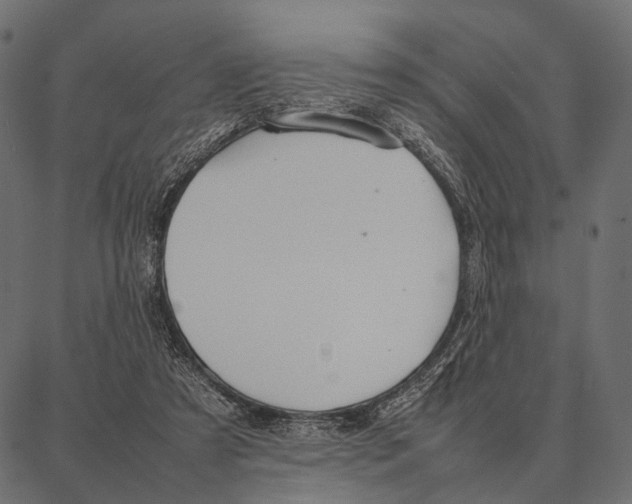 X0000087320305200705181018