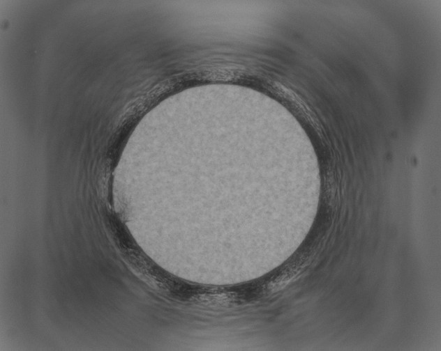 X0000087320307200705181018