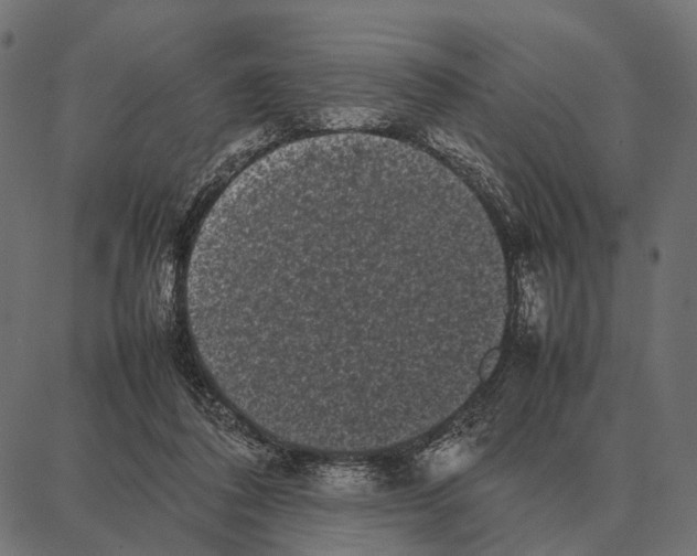 X0000087320308200705181018