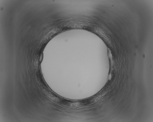 X0000087320309200705181018