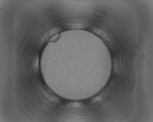 X0000087320310200705181018