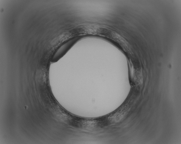 X0000087320313200705181017