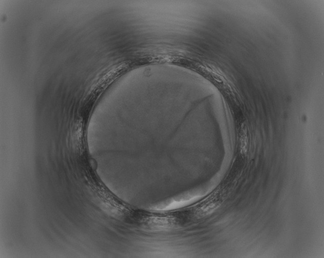 X0000087320314200705181017