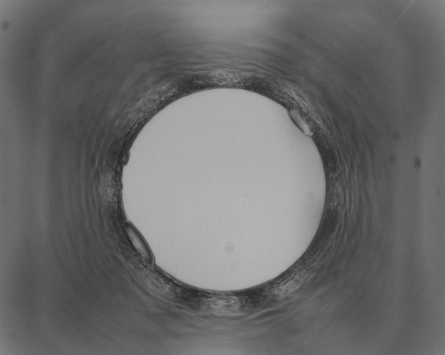 X0000087320317200705181017