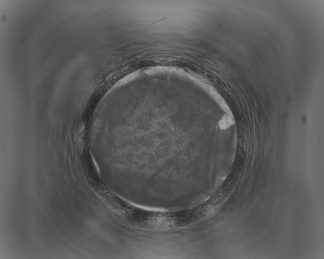 X0000087320319200705181017