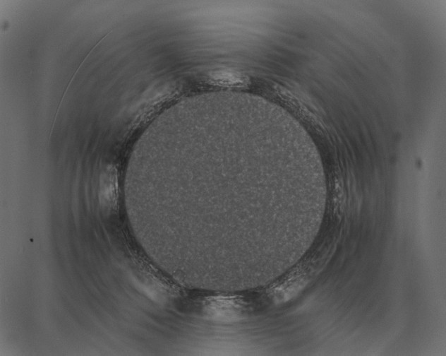 X0000087320320200705181017