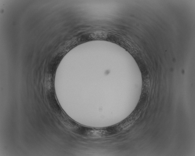 X0000087320323200705181017