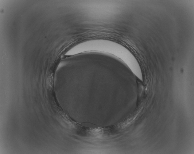 X0000087320325200705181017