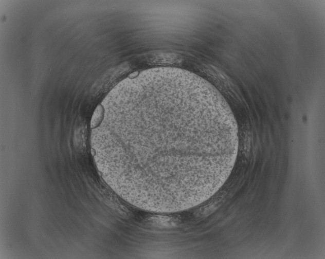 X0000087320326200705181017