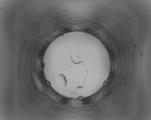 X0000087320327200705181017